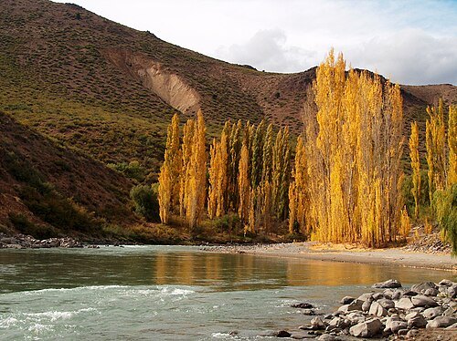 Neuquén River