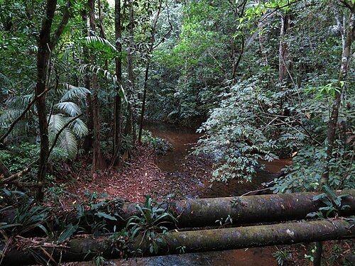 Soberanía National Park