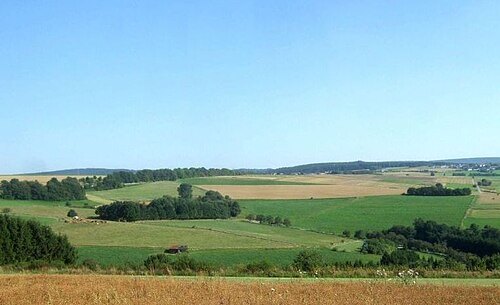 Osburger Hochwald