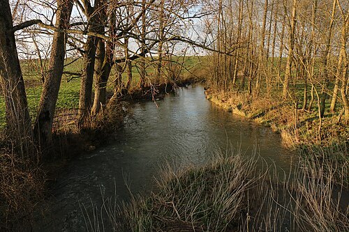 Rupt de Mad