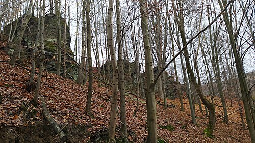 Oderské vrchy