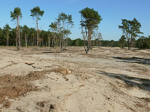 Holmer Sandberge