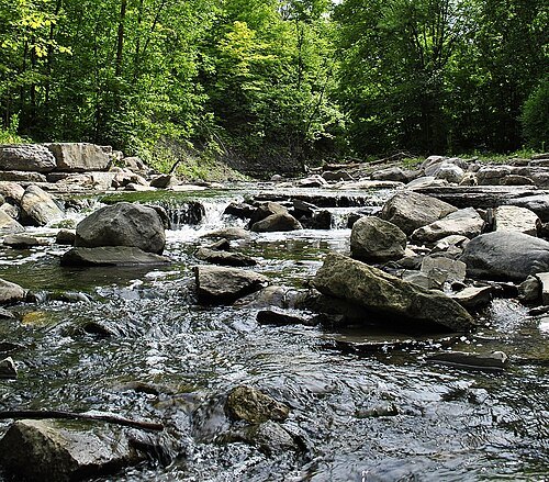 Little Etobicoke Creek