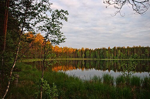 Valgõjärv