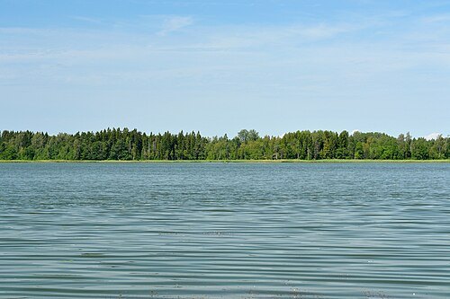 Valgjärv