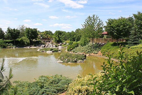 Dijon Japanese garden
