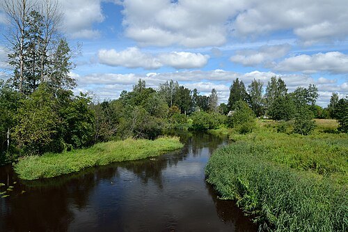 Reiu River