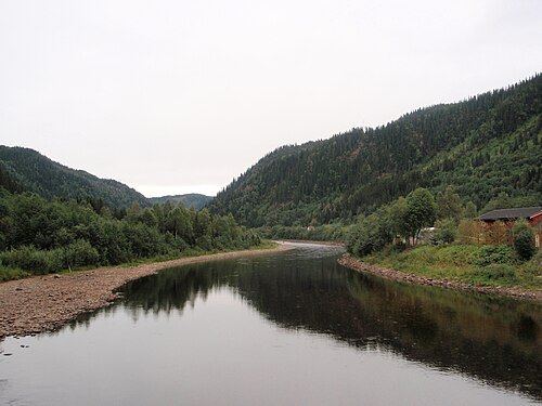 Gaula