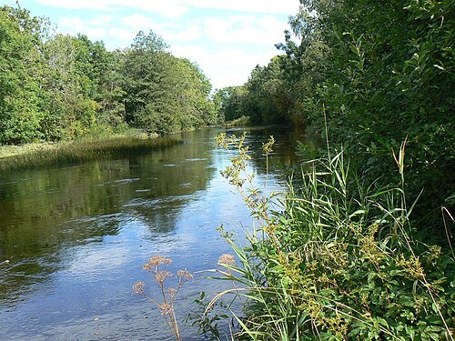 Velise River
