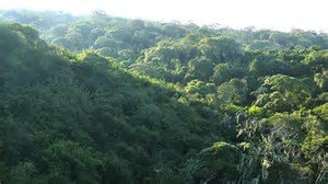 Sambisa Forest