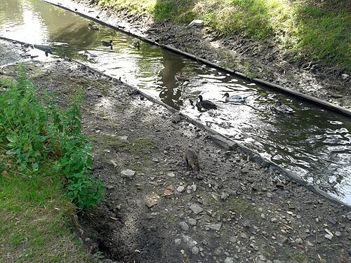 Malscher Landgraben
