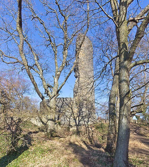 Tomburg Castle