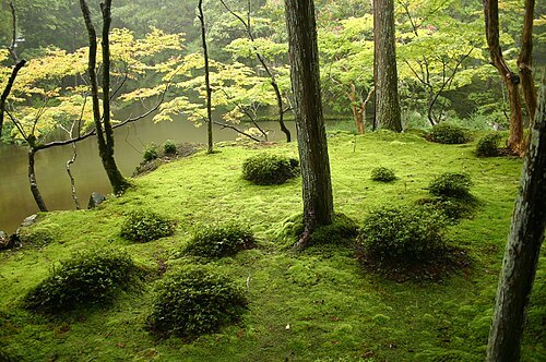 西芳寺