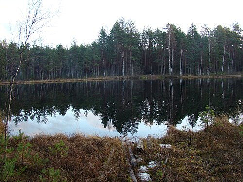 Pakuļezers