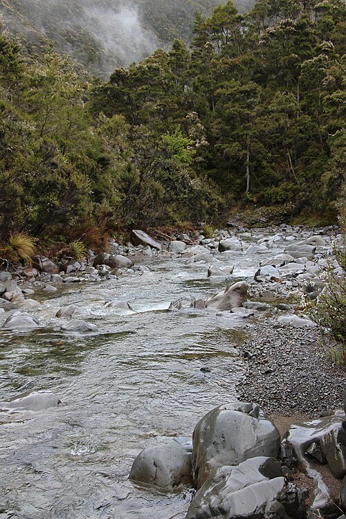 Ngaruroro River
