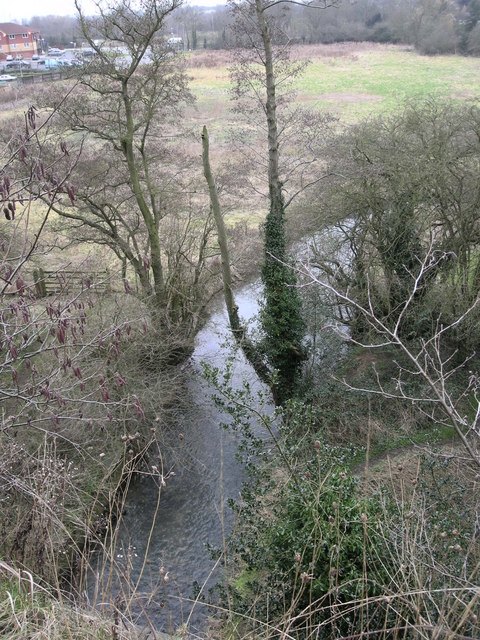 River Swift
