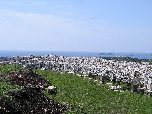 Monkodonja