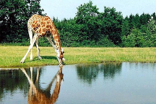 Ruma National Park