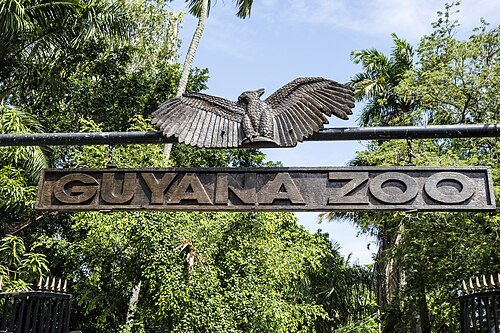 Guyana Zoo