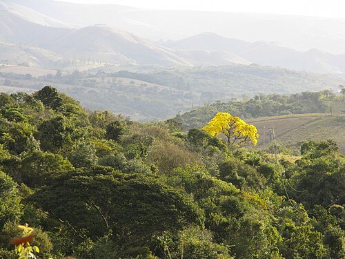 Serra da Cantareira