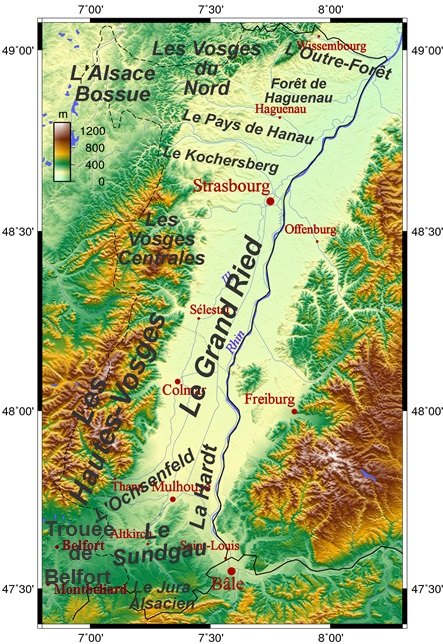 Forêt de la Hardt