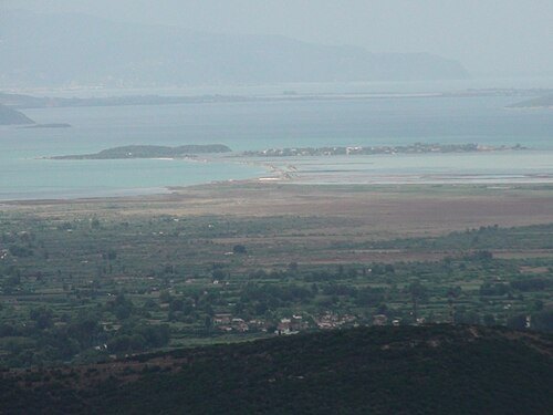 Koronisia
