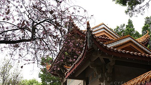西禅寺