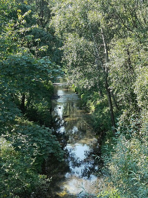 Sušanka