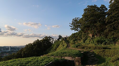 禿山城