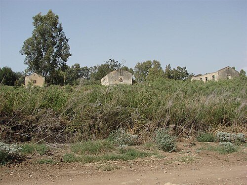 Tel Naama