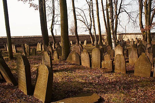 Jewish cemetery in Březnice