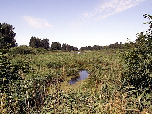 Windawski Canal