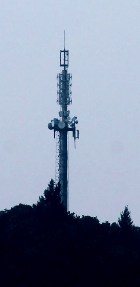 Wattkopf