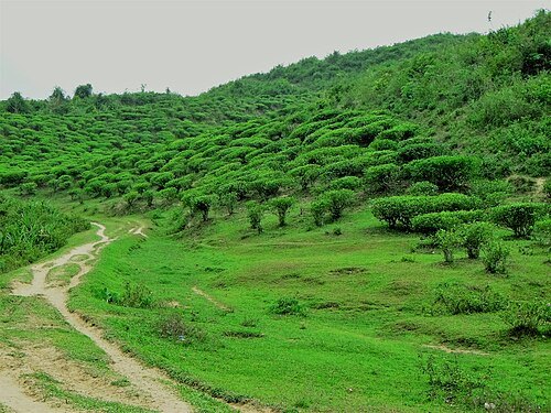 Khadimnagar National Park