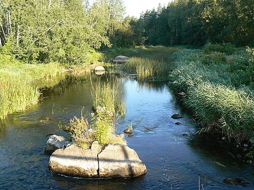 Navesti River