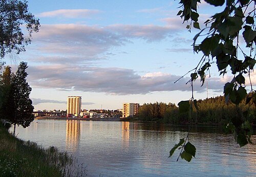 Pielisjoki