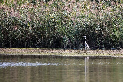 Katsoburi Managed Reserve