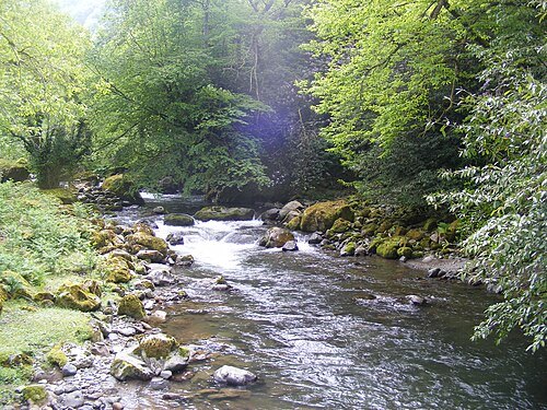 Chakvistsqali