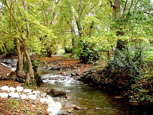 Plane Grove Sanctuary