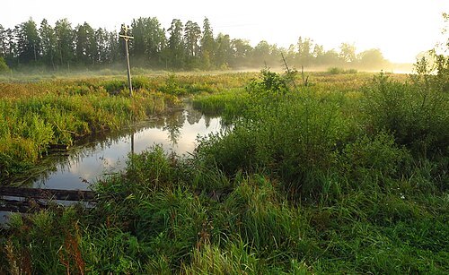 Nõmme River