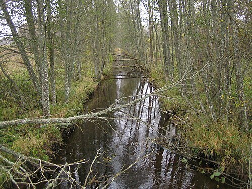 Onga River