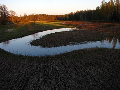 Lemmjõgi