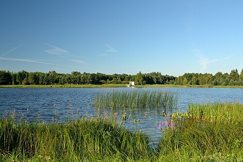 Kaunissaare Reservoir