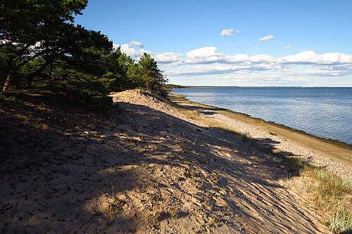 Järve Dunes' Nature Park