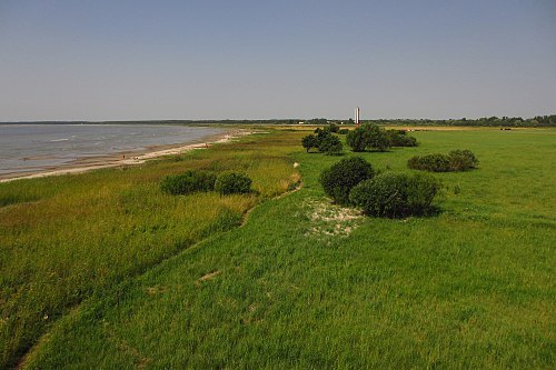 Pärnu Coastal Meadow Nature Reserve