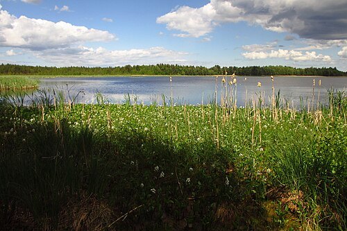 Lake Rummu