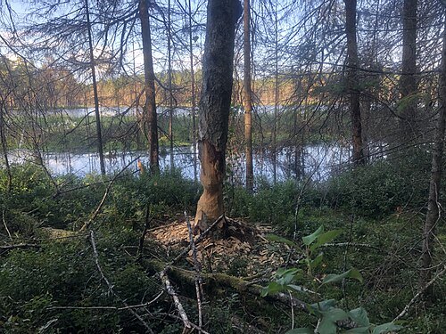 Mõdriku-Roela Nature Park