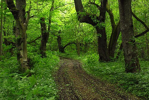 Abruka Nature Reserve