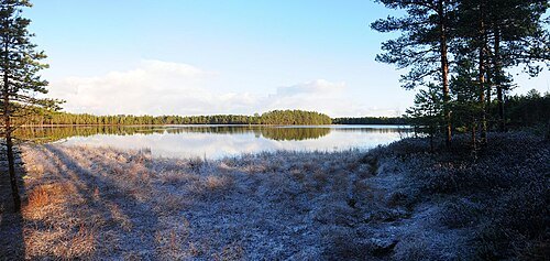 Kivijärv