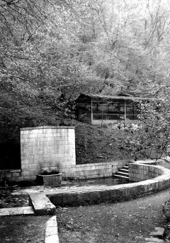 Isa Spring